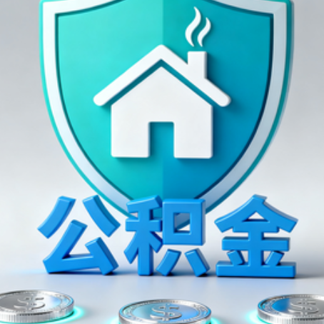 嘉定公积金代办行业观察：谁在提供专业服务？